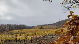 Температура воздуха в Крыму в ближайшую неделю будет сохраняться почти на одном уровне.