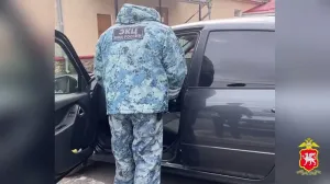 Полиция вышла на лихача в течение суток.