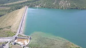 Сейчас проект на этапе планировки территории под водоёмы. 