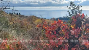 Ноябрь подарил крымчанам небывалое тепло.