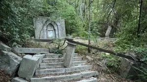 Огромный парк на ЮБК выглядит заброшенным и неухоженным. 