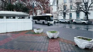 Сказка о хороших завхозах и невезучих вазонах 