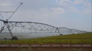 Дефицит воды помешал крымчанам научиться экономить