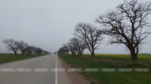 На что дорожному предприятию Крыма выделяют шесть миллиардов