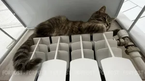 Как перевести градусы в рубли, если в квартире холодно — инструкция от юриста