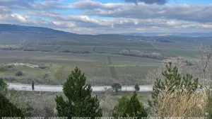 В Севастополь зашла промозглая крымская зима 