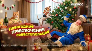 Кошки на ёлке, Дед Мороз подшофе и Путин в ночи – в Новый год может случиться что угодно