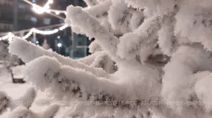 Снежный циклон парализовал Камчатку