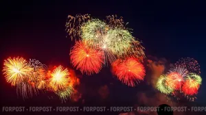 Фейерверк в лифте устроили два интеллектуала из Петербурга