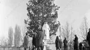 Как готовились к Новому году в Севастополе почти 100 лет назад