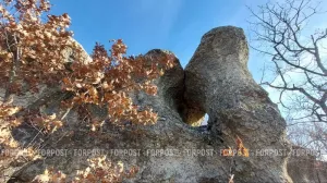 Как найти каменные грибы на северных отрогах Долгоруковской яйлы в Крыму