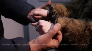 В Севастополе обнаружили нарушительницу государственной границы