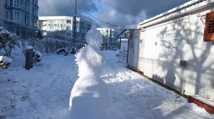 «РЖД разводит руками». Снежный коллапс на юге России задержал 55 поездов