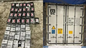 Контейнер из Латинской Америки: почему Россия всё чаще появляется в схемах