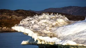 Трамп не забыл о Гренландии