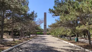 В Севастополе благоустроят сосновый парк на «Автобате» 