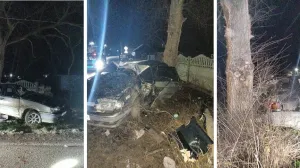 В Крыму 17-летний парень за рулем сбил опору ЛЭП и упёрся в дерево 