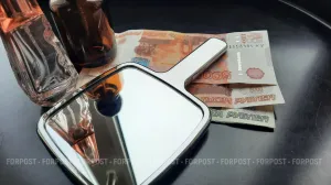 В Севастополе приставы добыли алименты через косметологический кабинет 