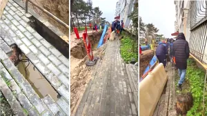 В Севастополе продолжается «кошмар на улице Вязов» 