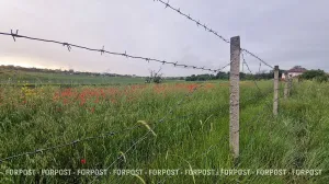 В Крыму и Севастополе начали изымать заброшенные сельхозземли 