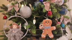 Чем болели севастопольцы и крымчане в новогоднюю ночь 