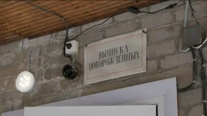 Как стала возможна смерть сразу девяти младенцев в одном роддоме?
