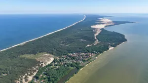 Директор национального парка «Куршская коса» задержан