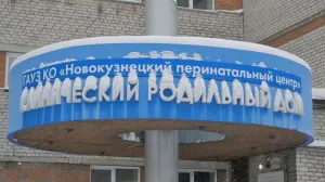 Завотделением роддома Новокузнецка не признал вину по делу о смерти младенцев