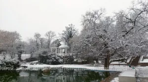 Какая погода ожидается в Крыму на Крещение 