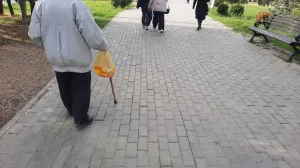 Учёные выяснили, как связаны частый герпес и болезнь Альцгеймера