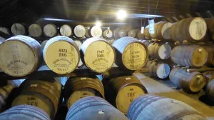 Человечество отказывается пить и ведет производителей алкоголя к разорению