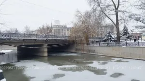 Крымские морозы напугали людей, но не лебедей