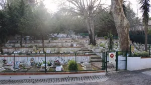 Смерть питомца может быть сравнимой со смертью родственника