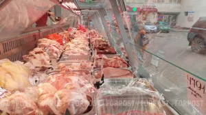 Конкуренция в мясном отделе: почему дешёвая китайская курятина — не всегда подарок