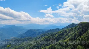 Вынесут ли природе России и отдельно взятого Севастополя смертный приговор