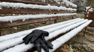 На смену морозам в Крым придёт резкое потепление 