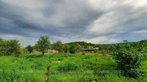 Севастополю обещают порядок в сфере земельных и имущественных отношений 