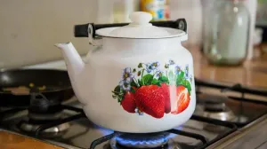 Люди по всему миру получают серьезные ожоги из-за нового челленджа в Интернете