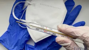 Вспышка вируса Нипах в Индии: что известно врачам и что важно туристам