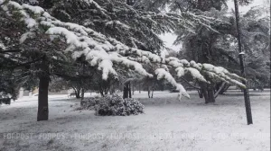Крымчанам снова предстоит пережить несколько дней зимы