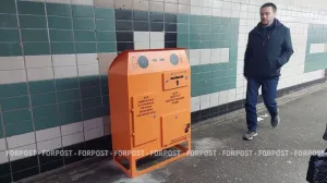 Куда сдать батарейки? В крымской столице начнут собирать опасный мусор