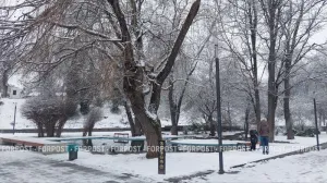 Февраль в Крыму начнётся с метели, ветра и крепких морозов