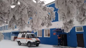 Полиция возобновила поиски семьи Усольцевых — ищут на участках местных жителей