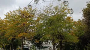 В Севастополе установят новое колесо обозрения — с кондиционированными кабинками