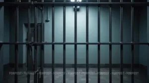 Суд вынес приговор жителям Крыма за участие в запрещённом вооружённом формировании