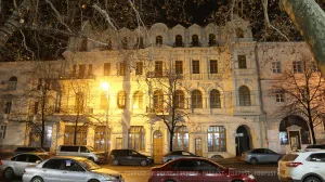 Жуки-притворяшки и голуби стали проблемой главного художественного музея Севастополя