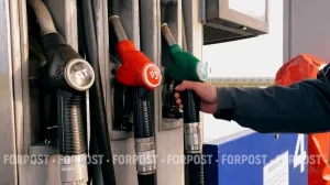 В каких регионах России бензин стал менее доступным, несмотря на рост доходов