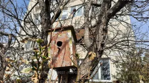 «Доступное жильё» вредит здоровью: почему микроквартиры — это опасный компромисс