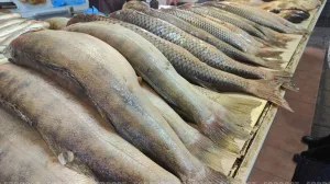 Страна без выхода к морю стала крупнейшим поставщиком рыбы в Россию