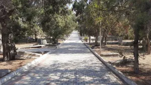 В Севастополе поддержали «кладбищенскую амнистию»